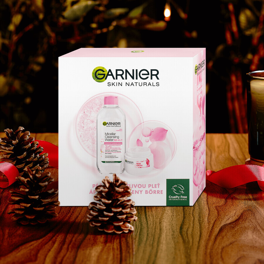 Garnier Skin Naturals Rose Kerstpakket 2023 - crème + micellair water