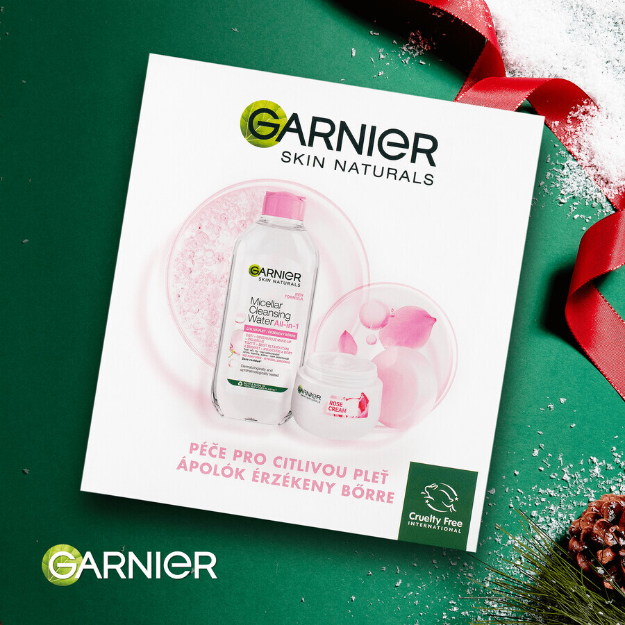 Garnier Skin Naturals Rose Kerstpakket 2023 - crème + micellair water