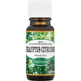 Saloos Eucalipto Citriodora 10 ml