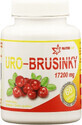 Nutricius URO Veenbes 60 tabletten