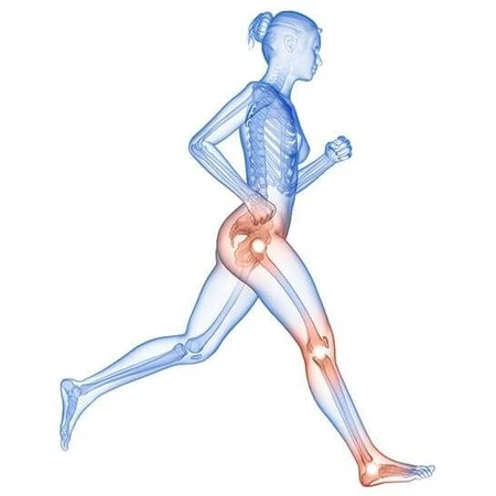 MycoMedica MycoFlex 90 gélules