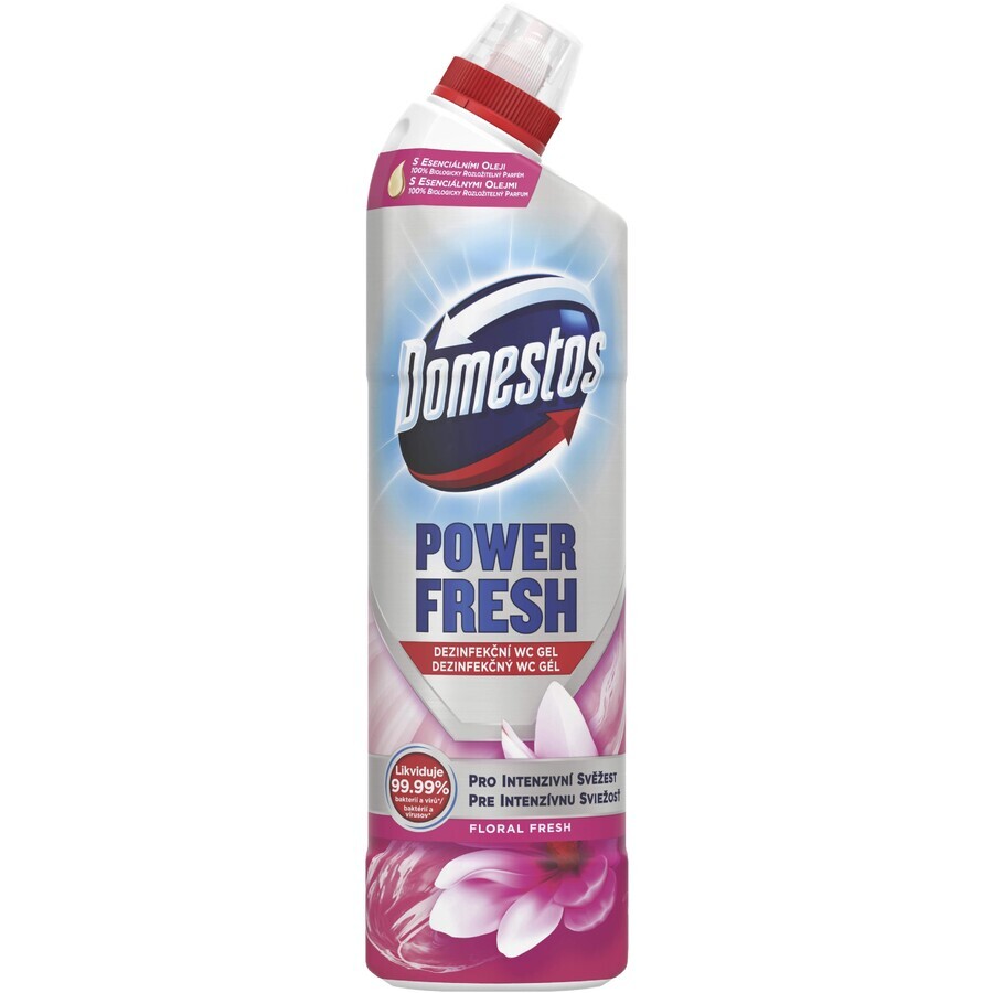 Domestos Power frisch blumiges Gel 700 ml