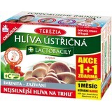 Terezia Oesterzwam + Lactobacillen actie 1+1 met pijltjes 2 x 60 capsules