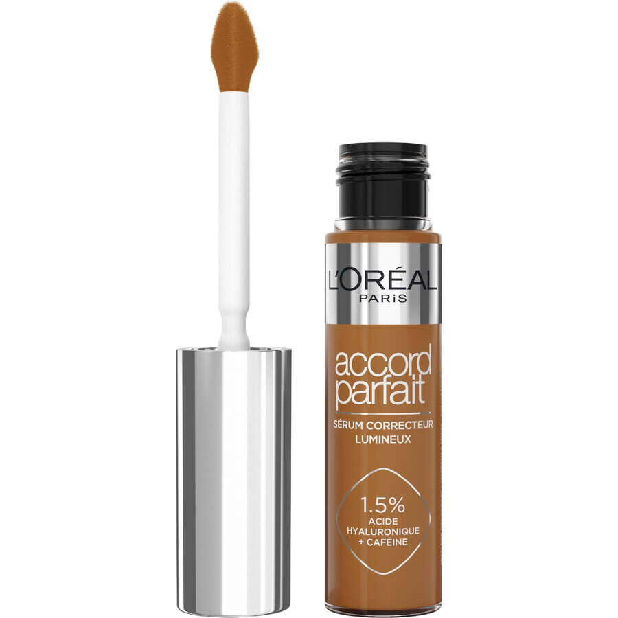 L'Oréal Paris True Match Radiant 9N Concealer, 11 ml