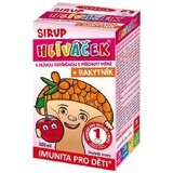 Terezia Hliviačik Oesterzwammen siroop met kersen + duindoorn smaak, 100 ml