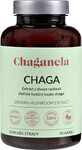 Chaganela Siberisch Chaga-extract 90 capsules