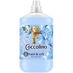 Coccolino Blue splash Wäschepflegemittel 1,7 l