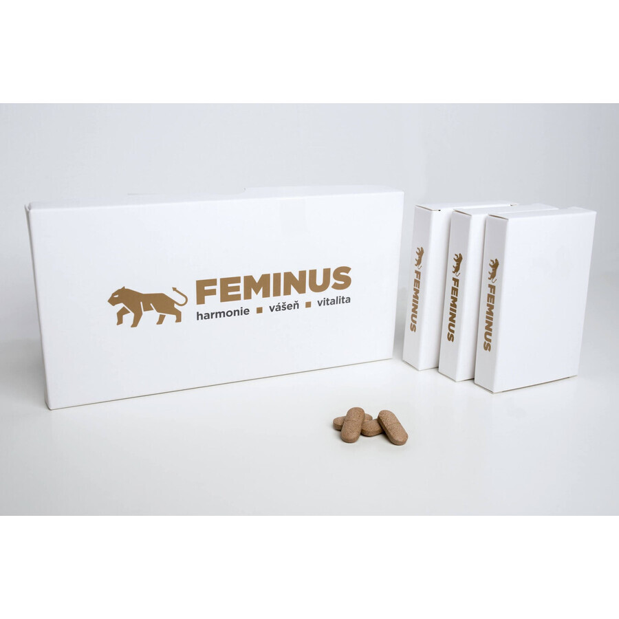 Feminus 60 tabletten