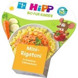 HiPP BIO Mini Rigatoni met groenten in romige saus 250 g