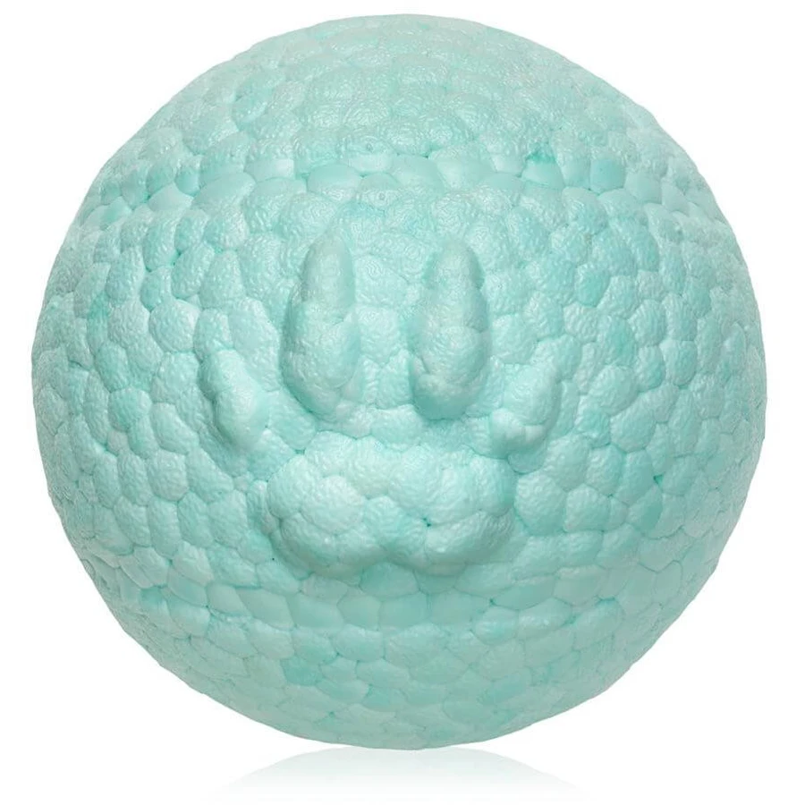 Explorer Dog Airball Turquoise 8 cm