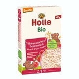 Holle Bio Muesli met aardbeien en frambozen 200 g