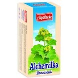 Apotheke Alchemilla tea yellow green 20x1,5g 20 x 1.5 g