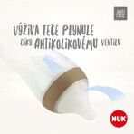 Nuk Perfect Match Fopspeen Universeel (6+ m.) 2 stuks