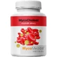 MycoMedica MycoCholest 120 capsules