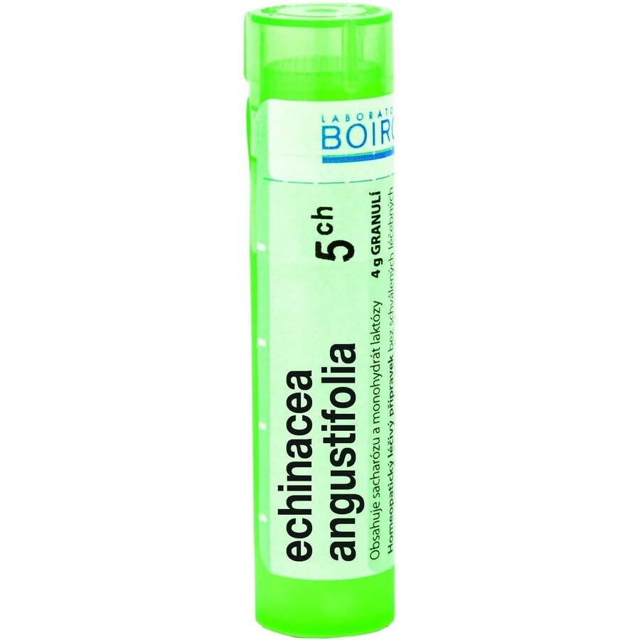 Boiron Echinacea Angustifolia CH5 gránulo 4 g