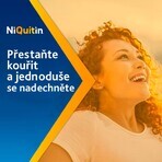 Niquitin mini 4mg comprimidos 3 x 20 comprimidos