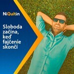 Niquitin Mini 4mg 60 comprimés