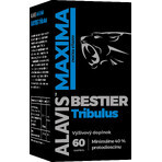 Alavis Maxima Bestier Tribulus 60 gélules