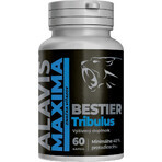 Alavis Maxima Bestier Tribulus 60 gélules