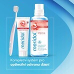 Meridol Complete Care toothpaste for sensitive teeth and gums 75 ml