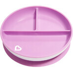 Munchkin plate with suction cup