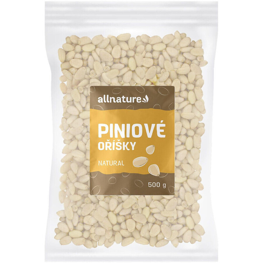 Allnature Pijnboompitten 500 g