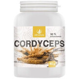 Allnature Cordyceps 100 capsules