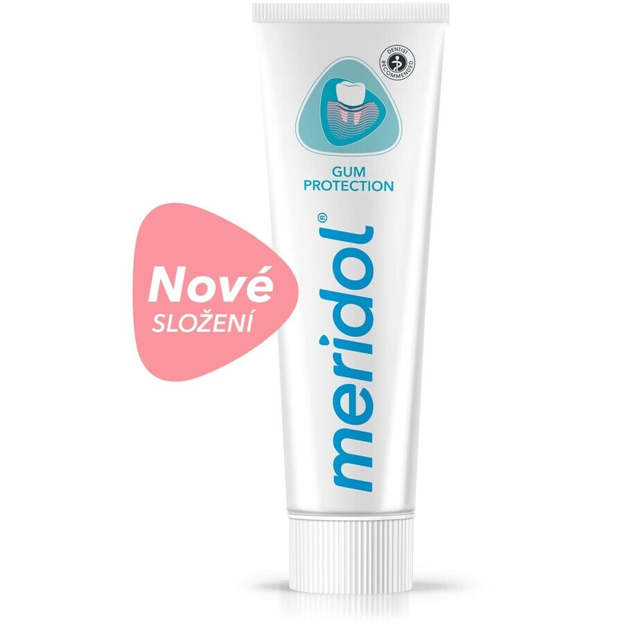 Meridol Gum Protection Toothpaste 2 x 75 ml