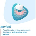 Meridol Gum Protection Toothpaste 2 x 75 ml