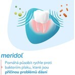 Meridol Gum Protection Toothpaste 2 x 75 ml