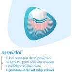 Meridol Gum Protection Toothpaste 2 x 75 ml