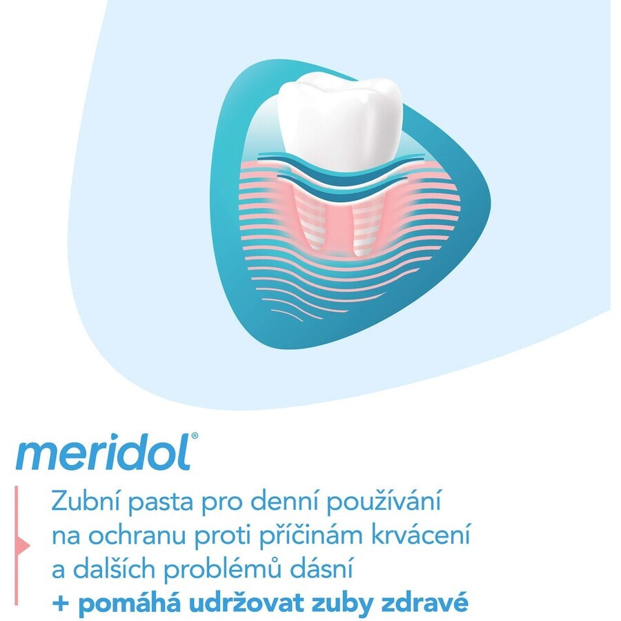 Meridol Gum Protection Toothpaste 2 x 75 ml