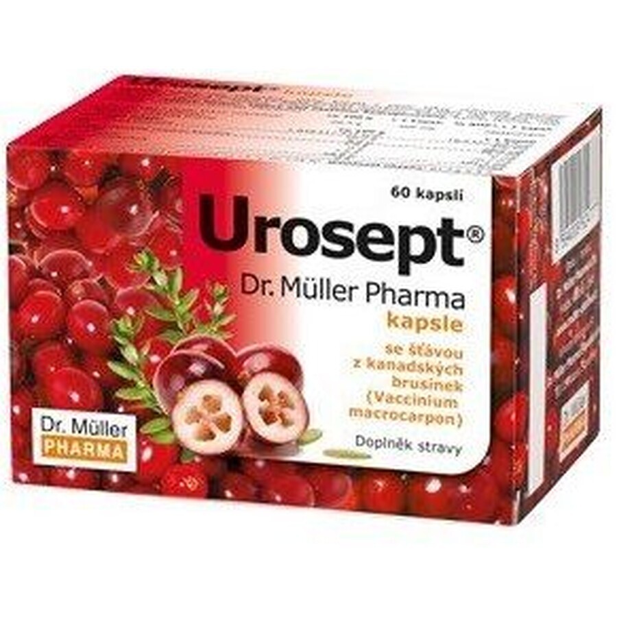 Urosept Herbal urological tea 20 x 2 g