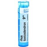 Boiron Rhus Toxicodendron CH9 gránulo 4 g