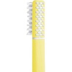 Toothbrush Feather with echinacea + holder, soft yellow