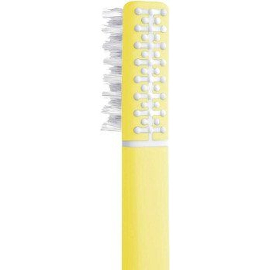 Toothbrush Feather with echinacea + holder, soft yellow