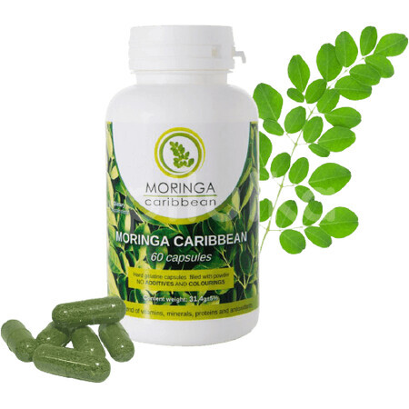 Moringa Karibik Standard 60 Kapseln