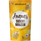 Allnature Ananas liofilizat uscat bucăți 30 g