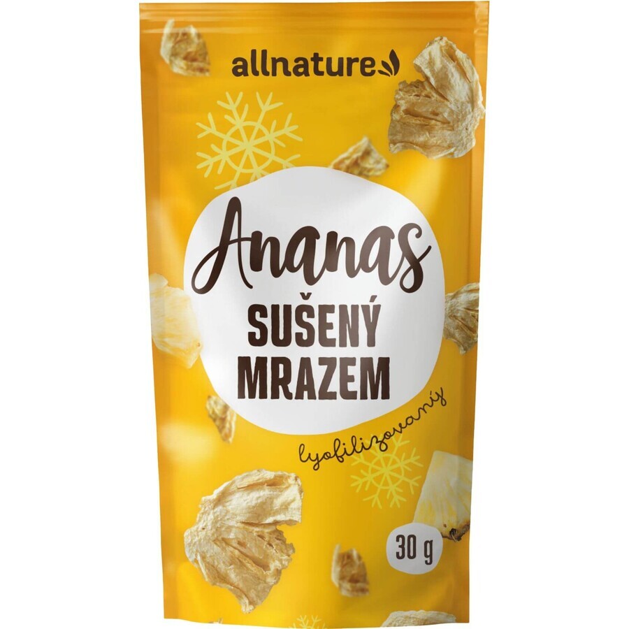 Allnature Morceaux d'ananas séchés lyophilisés 30 g