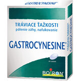 Boiron Gastrocynesine 60 comprimidos