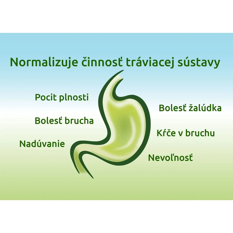 Iberogast Lösung zum Einnehmen 50 ml