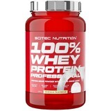 Scitec Nutrition 100% Whey Protein Professional, vanille 920 g