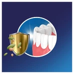 Blend-A-Dent Plus Crema fissante a doppio potere 40 g