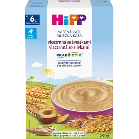 HiPP PRAEBIOTIK Mehrkorn-Milchbrei mit Pflaumen 250 g