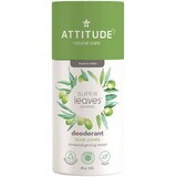 Attitude Super leaves Natural solid deodorant, olive leaves 85 g