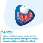 Meridol Parodont Expert Tandpasta 3 x 75 ml