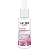 Siero viso rassodante Weleda Bean 30 ml