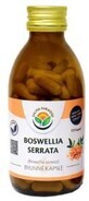 Salvia Paradise Boswellia serrata wierook 120 capsules