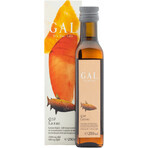 GAL Q10 Salmon 250 ml