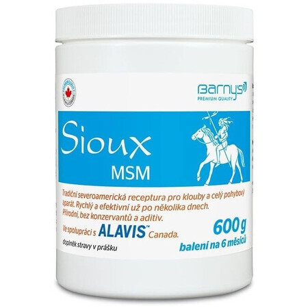 N/A Sioux MSM poeder 600 g